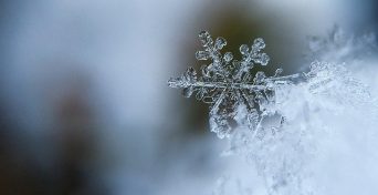 snowflake-1245748_640 (1)